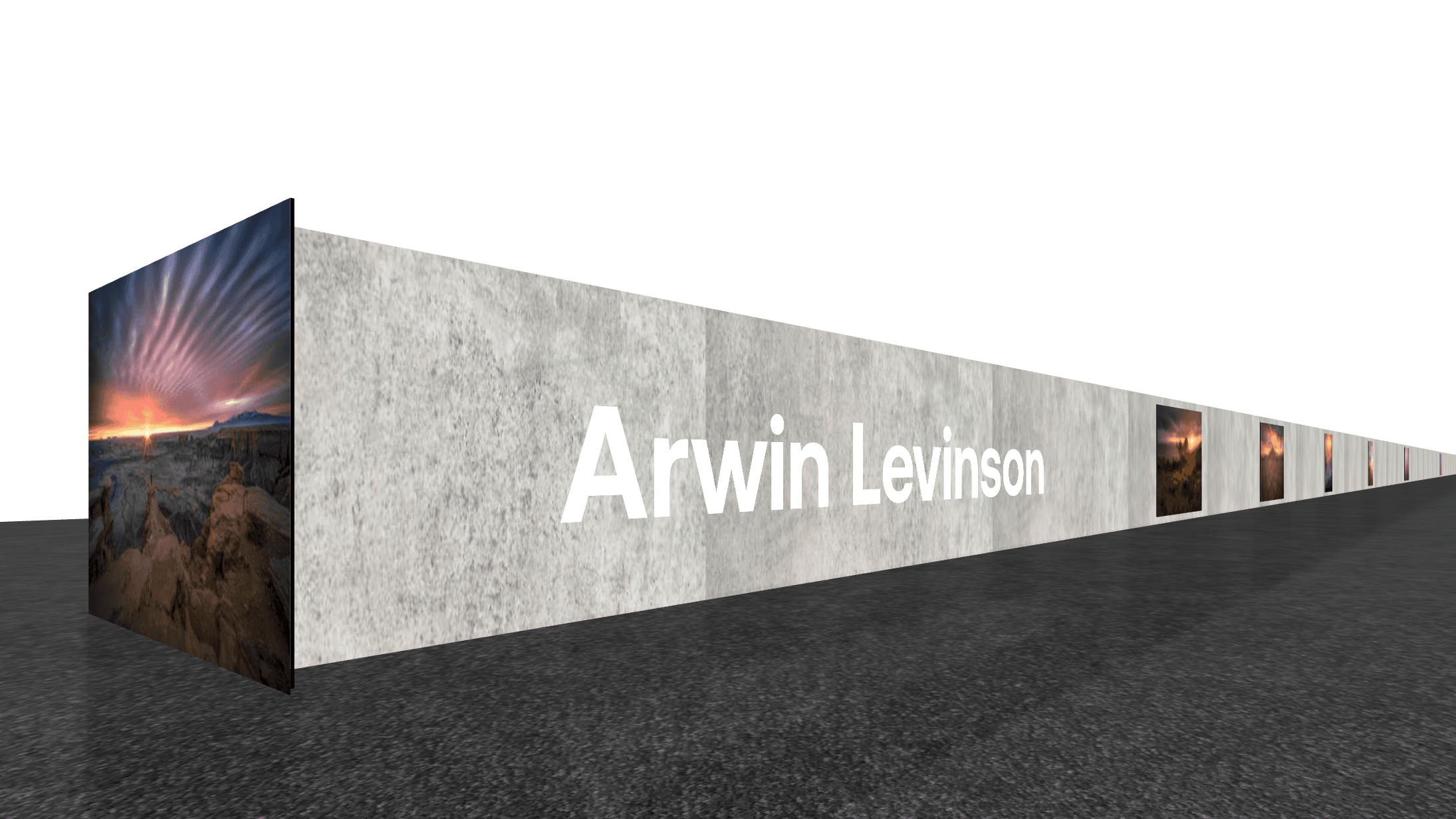 Arwin Levinson