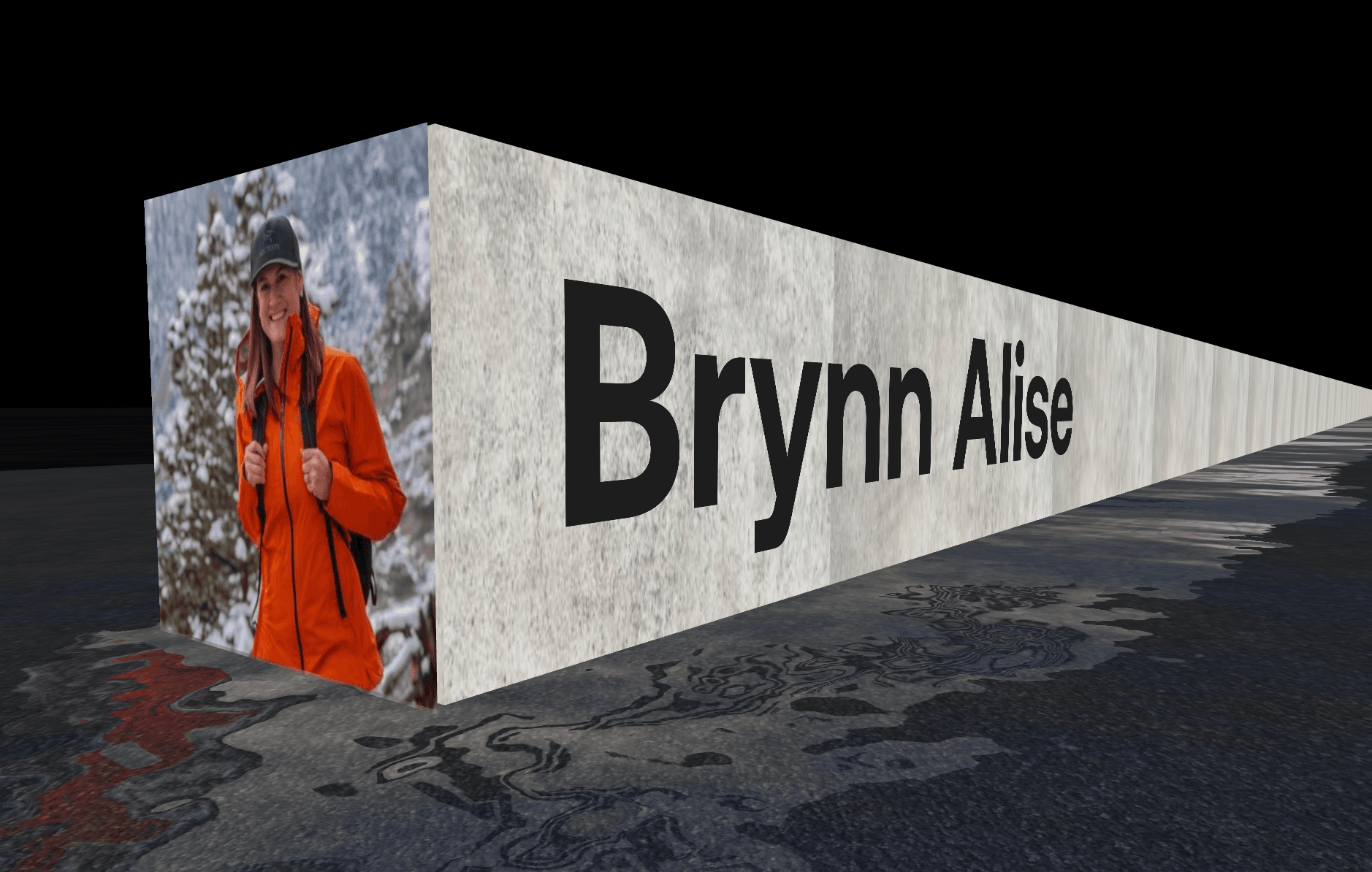 Brynn Alise Photography