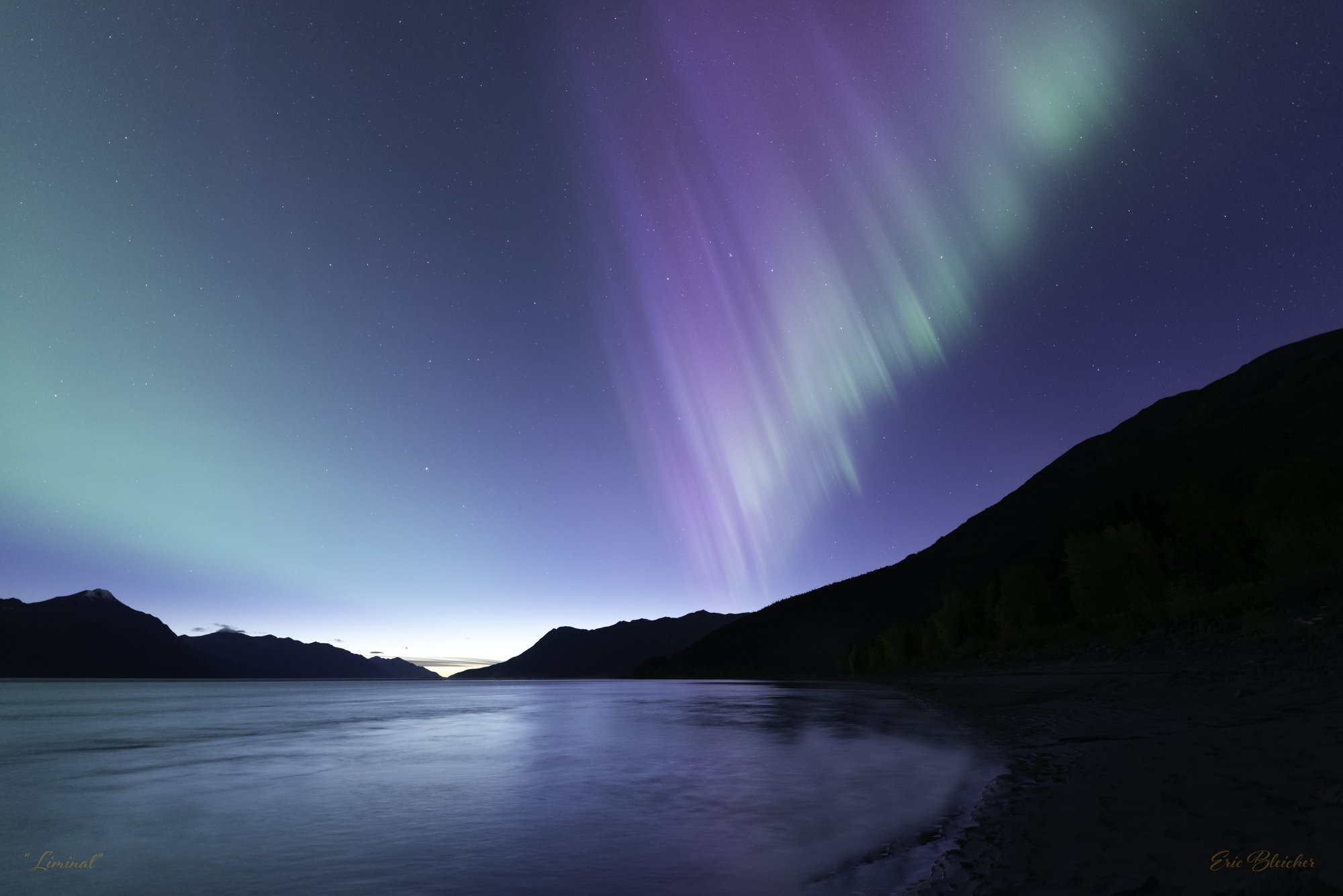 Talking About Artists