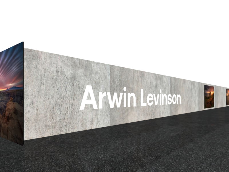 Arwin Levinson