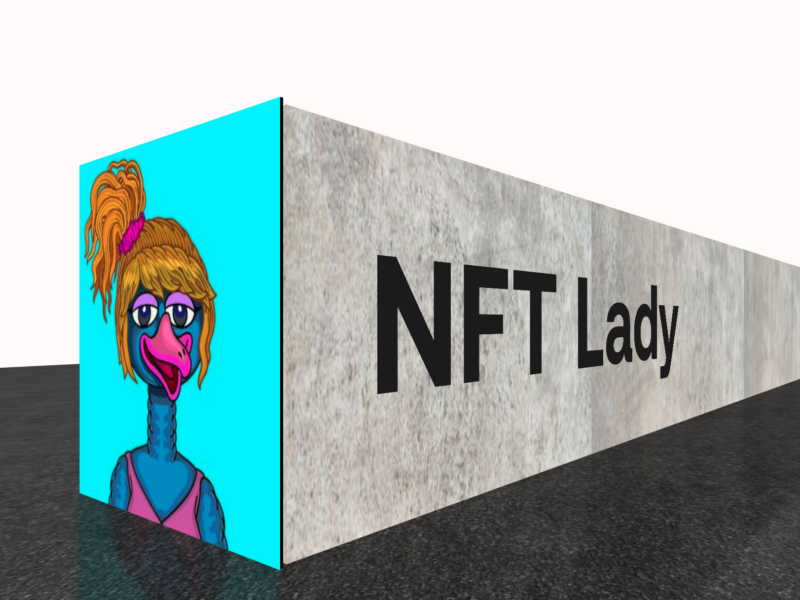 NFT Lady